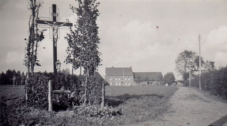 historische foto lindes schendekouterstraat wervik bakens van bomen