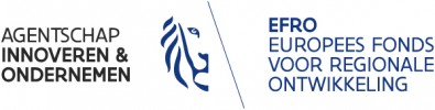 Logo Vlaio - EFRO